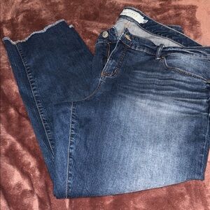 Torrid Dark Blue Women Jeans 20